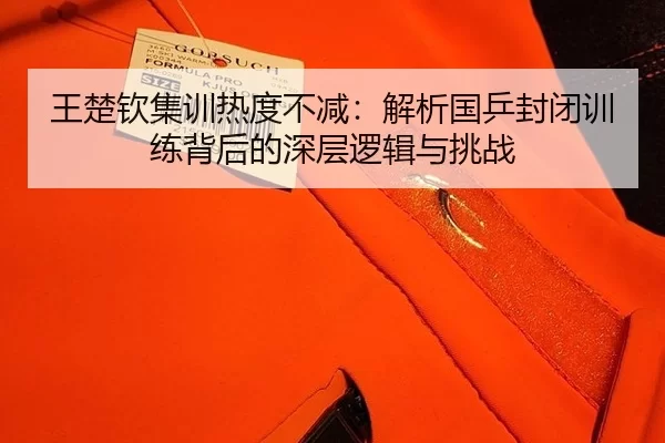 王楚钦集训热度不减：解析国乒封闭训练背后的深层逻辑与挑战